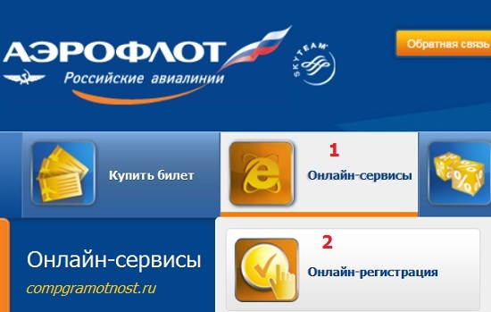 образец заполнения авиабилета через интернет по россии